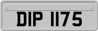 DIP1175