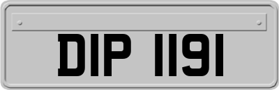 DIP1191