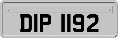 DIP1192