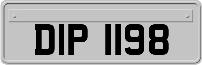DIP1198