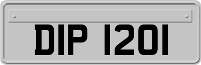 DIP1201