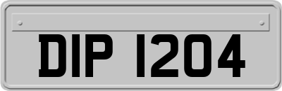 DIP1204
