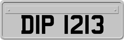 DIP1213