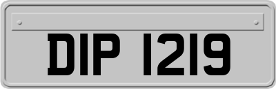 DIP1219