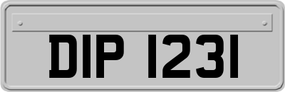DIP1231