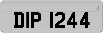 DIP1244
