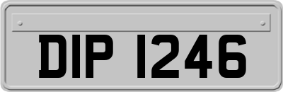 DIP1246