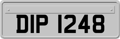DIP1248