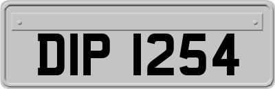DIP1254