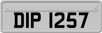 DIP1257