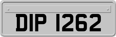 DIP1262