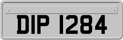 DIP1284