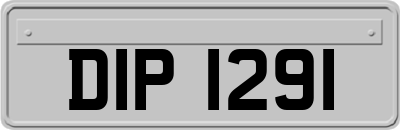 DIP1291