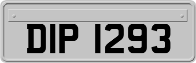 DIP1293