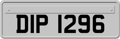DIP1296