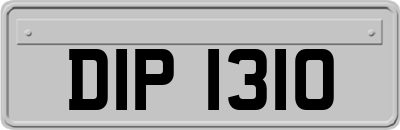 DIP1310