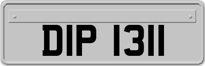 DIP1311