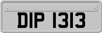 DIP1313