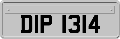 DIP1314