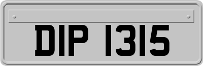 DIP1315