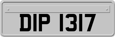 DIP1317