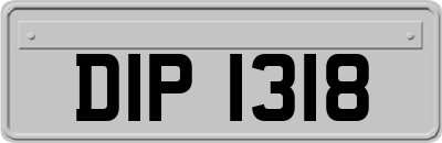 DIP1318