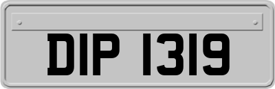 DIP1319