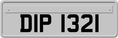 DIP1321