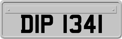 DIP1341