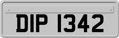 DIP1342