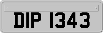 DIP1343
