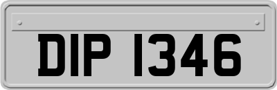 DIP1346