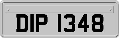 DIP1348