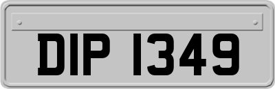 DIP1349