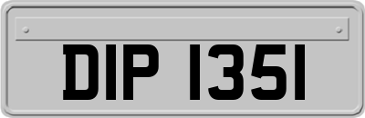 DIP1351