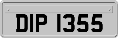 DIP1355