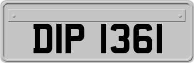 DIP1361