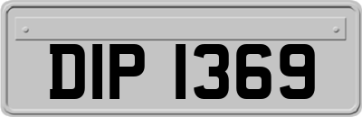 DIP1369