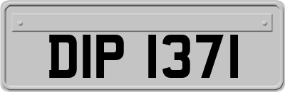 DIP1371