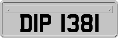 DIP1381