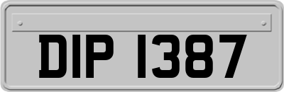 DIP1387