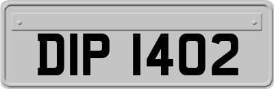 DIP1402