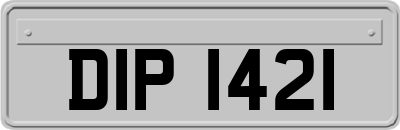 DIP1421