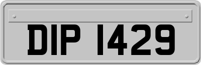 DIP1429