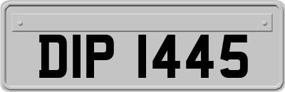DIP1445