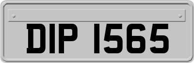 DIP1565