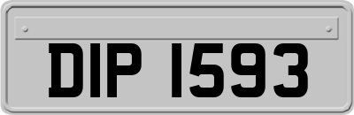 DIP1593