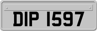 DIP1597