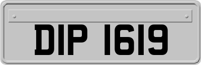 DIP1619