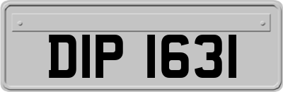 DIP1631